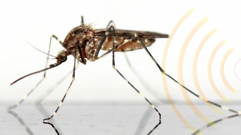 antimosquitos ultrasonidos