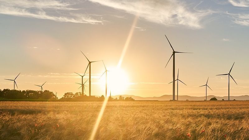 cambiar de compañía eléctrica